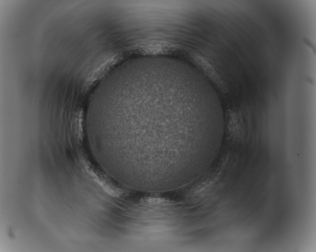 X0000101190590200807110946