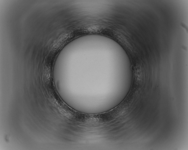 X0000101190593200807110946