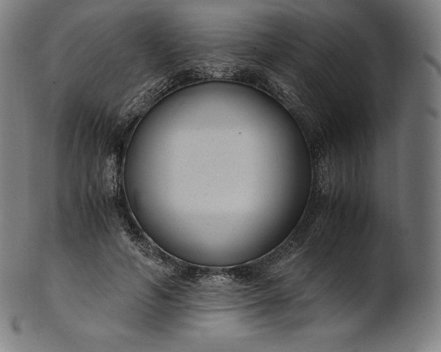 X0000101190594200807110946