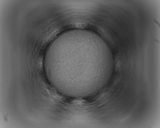 X0000101190595200807110946