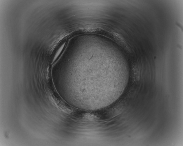 X0000101190596200807110946