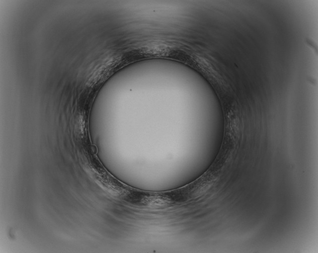 X0000101190597200807110946