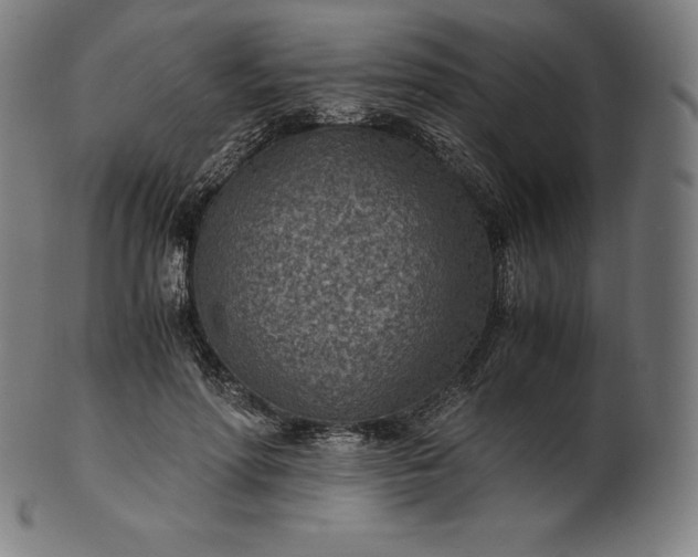 X0000101190598200807110946