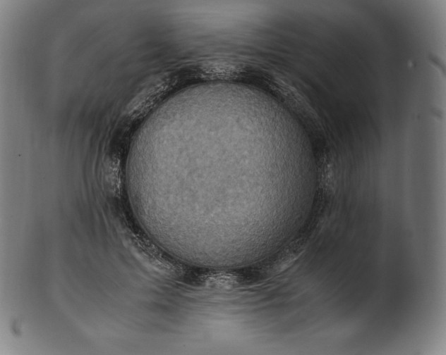 X0000101190599200807110946