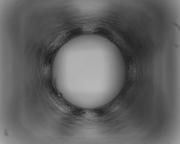 X0000101190601200807110946