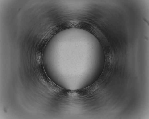 X0000101190602200807110946