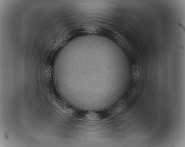 X0000101190603200807110946