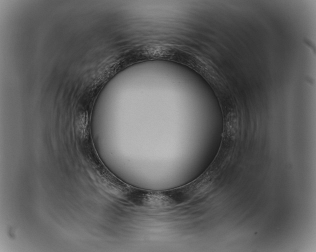 X0000101190605200807110946