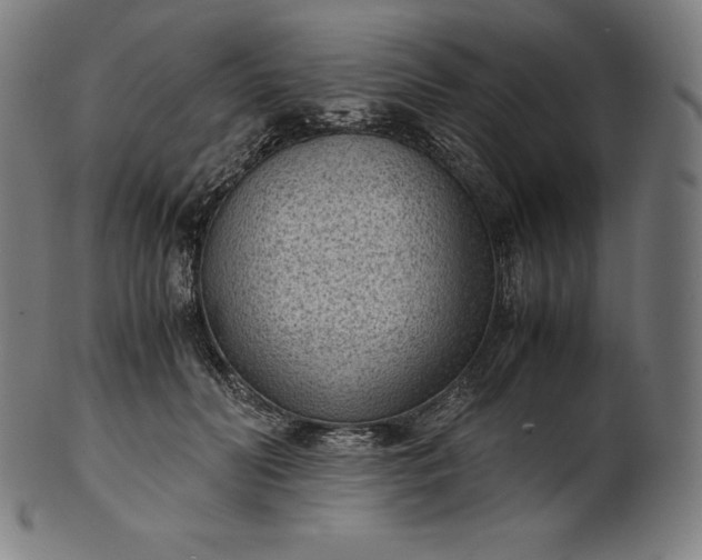 X0000101190606200807110946
