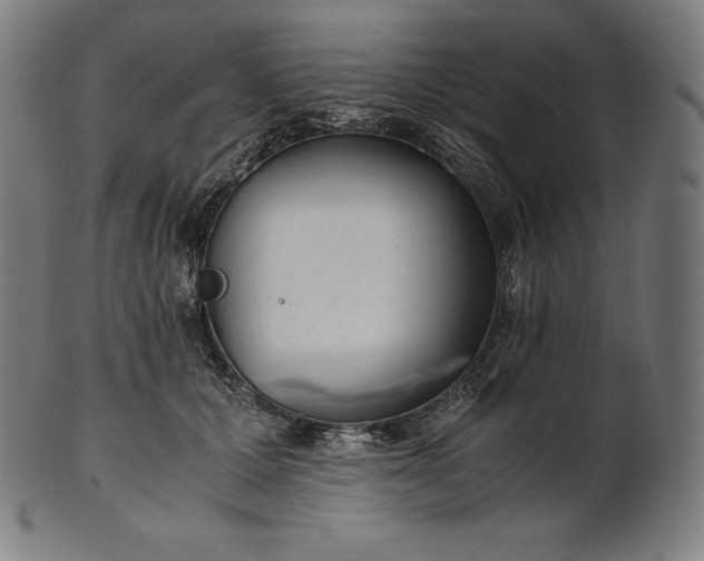 X0000101190607200807110946