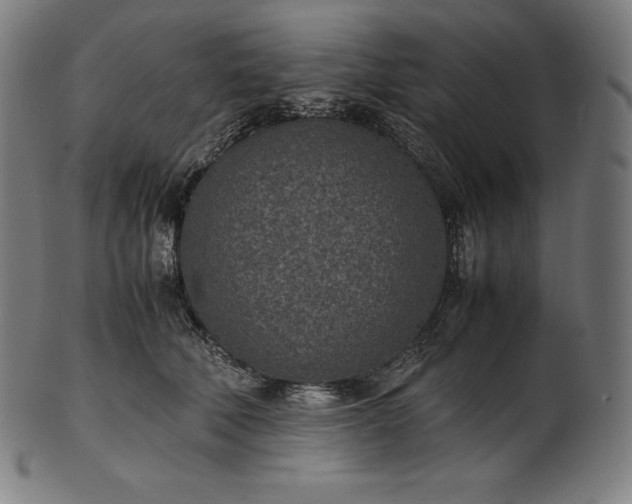 X0000101190610200807110946