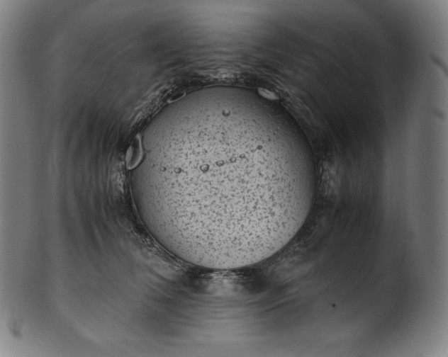 X0000101190612200807110946