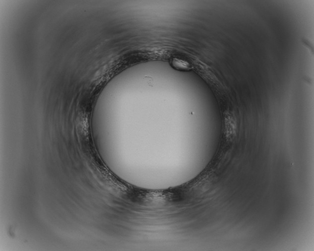 X0000101190613200807110946