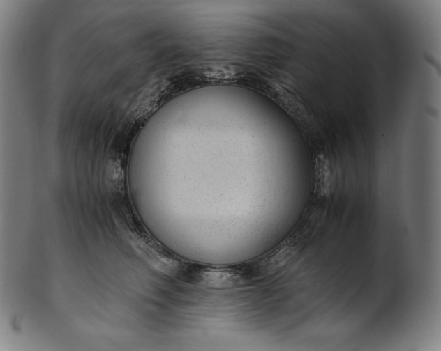 X0000101190614200807110946