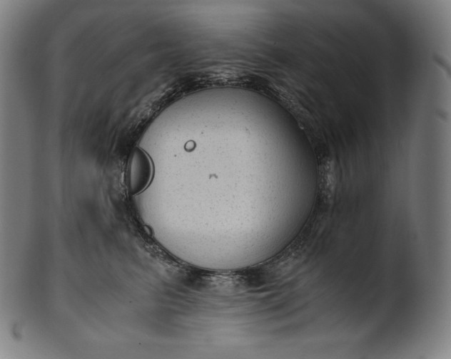 X0000101190615200807110946