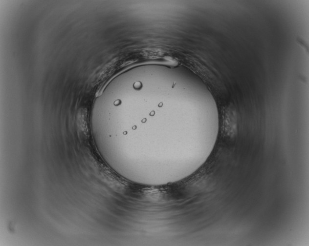 X0000101190616200807110946