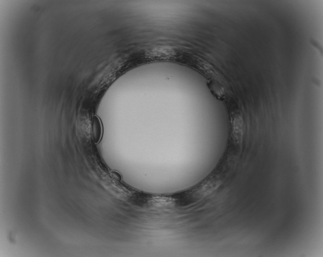 X0000101190617200807110946