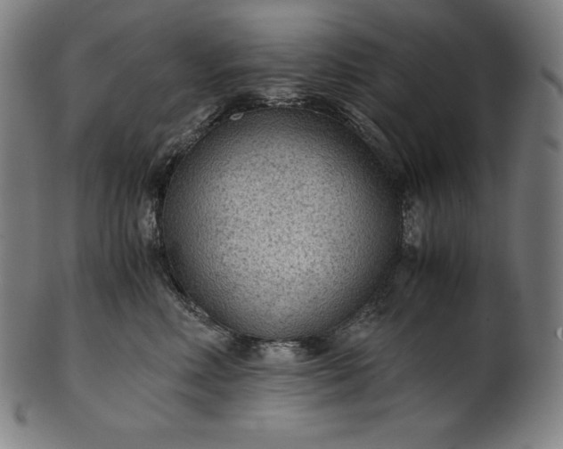 X0000101190618200807110946