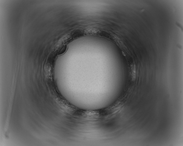 X0000101190619200807110946