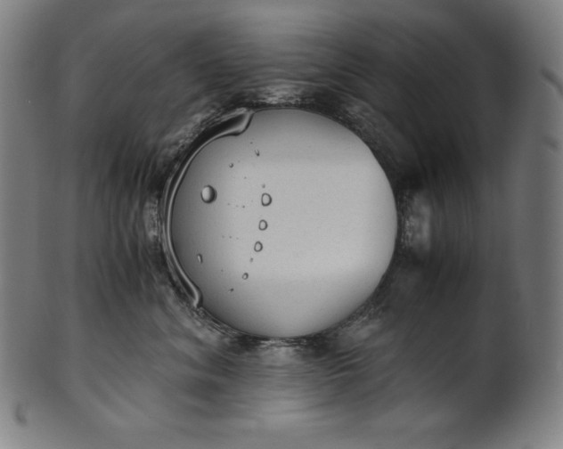 X0000101190620200807110946