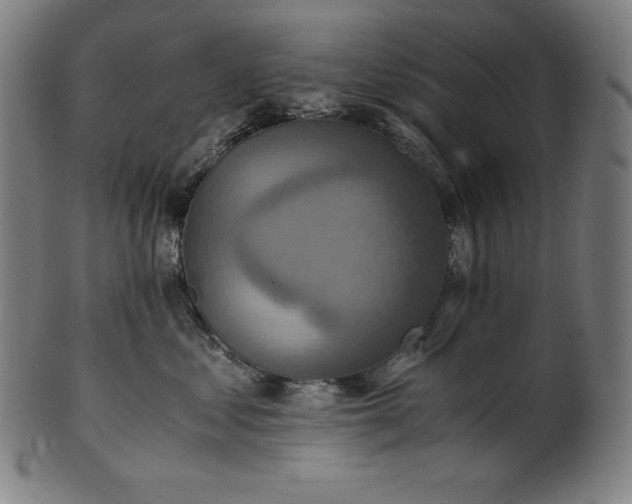 X0000101190621200807110946
