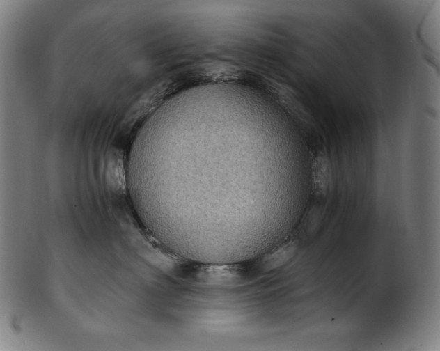 X0000101190622200807110946