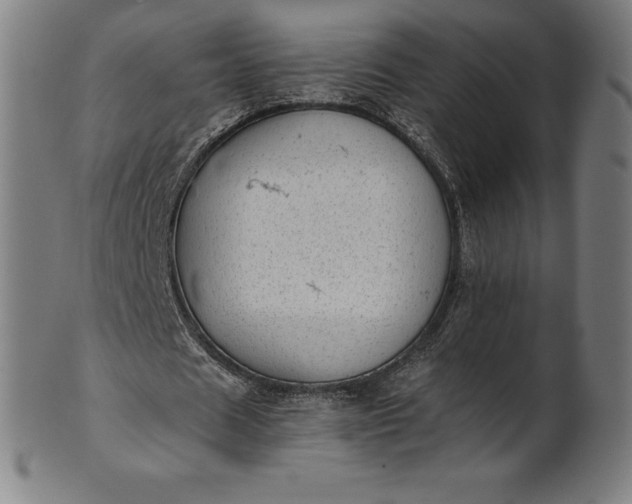 X0000101190625200807110945