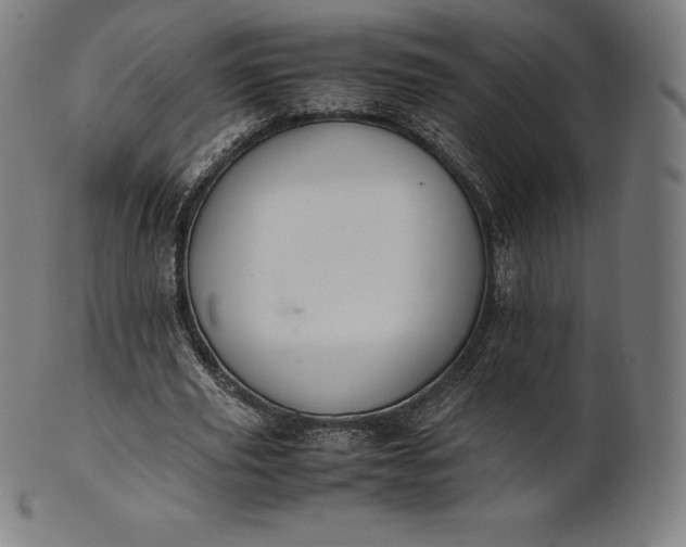 X0000101190629200807110945