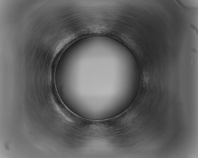 X0000101190630200807110945