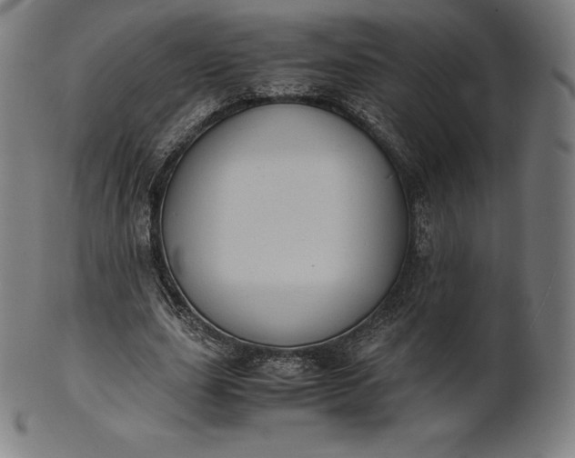 X0000101190631200807110945