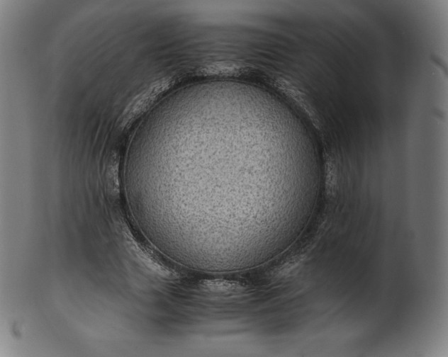 X0000101190633200807110945