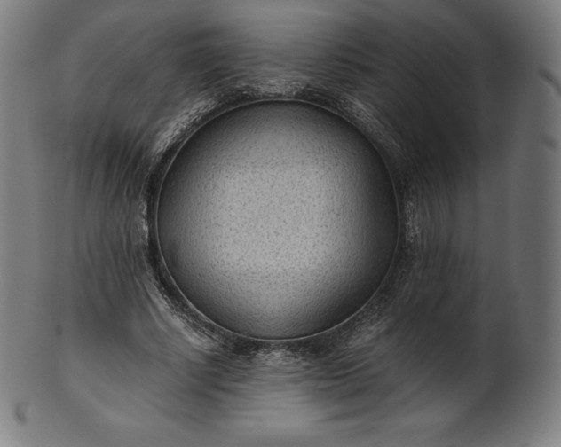 X0000101190634200807110945