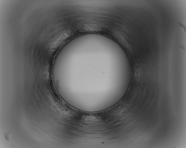 X0000101190635200807110945