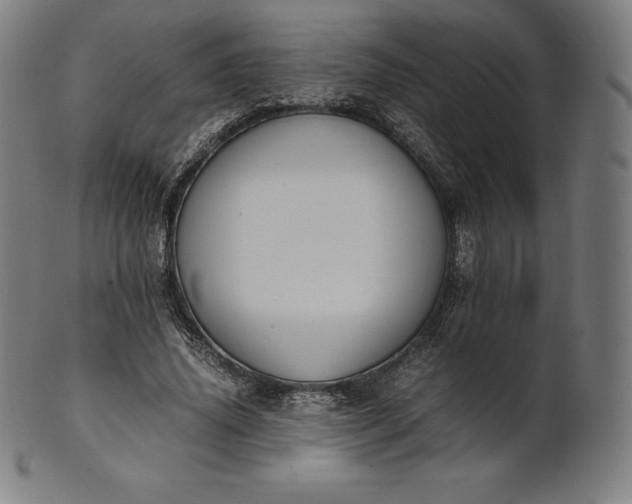 X0000101190636200807110945