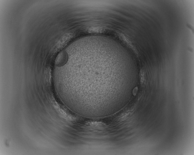 X0000101190637200807110945
