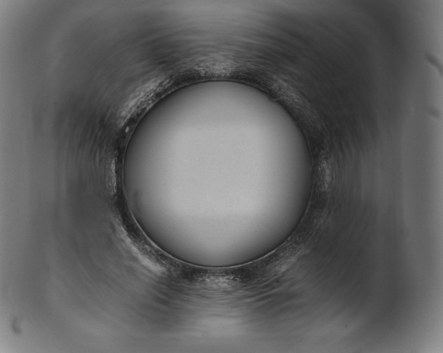 X0000101190638200807110945