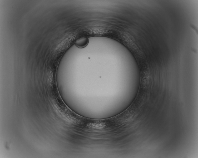 X0000101190639200807110945