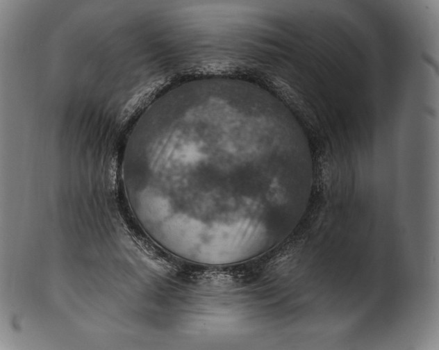 X0000101190640200807110945