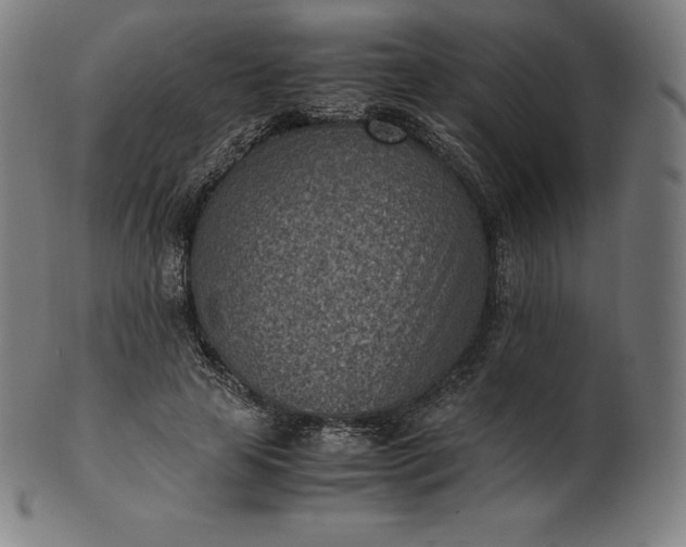 X0000101190641200807110945
