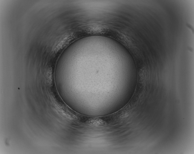 X0000101190642200807110945