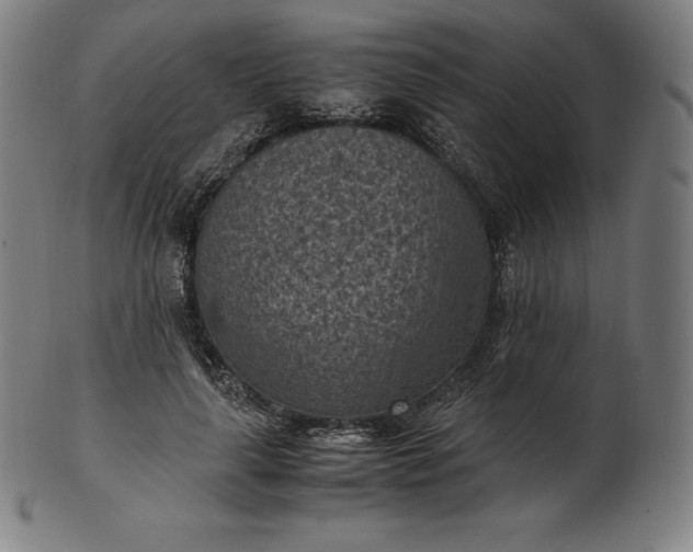 X0000101190643200807110946