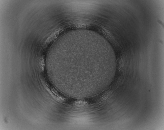 X0000101190644200807110946