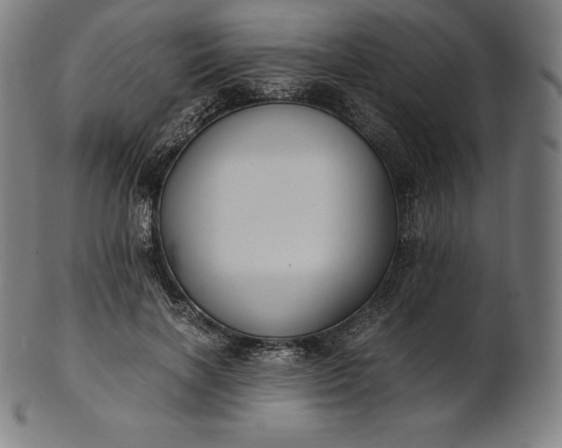 X0000101190646200807110946