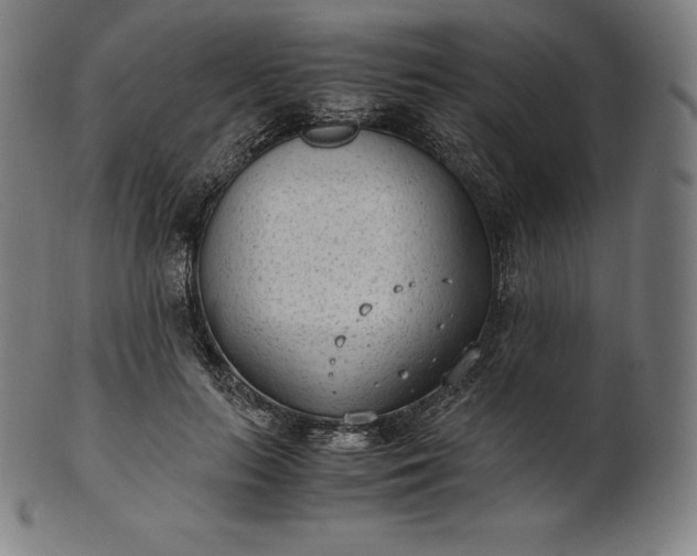 X0000101190647200807110946