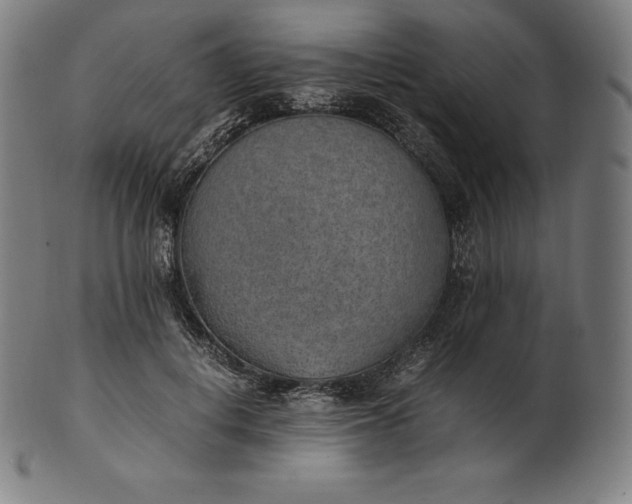 X0000101190648200807110946
