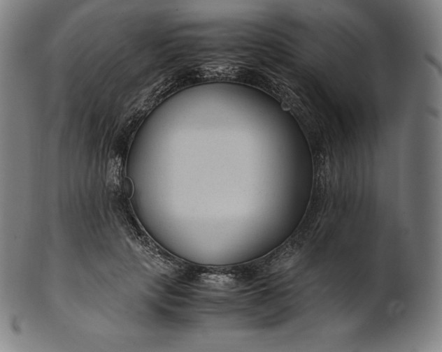 X0000101190649200807110946