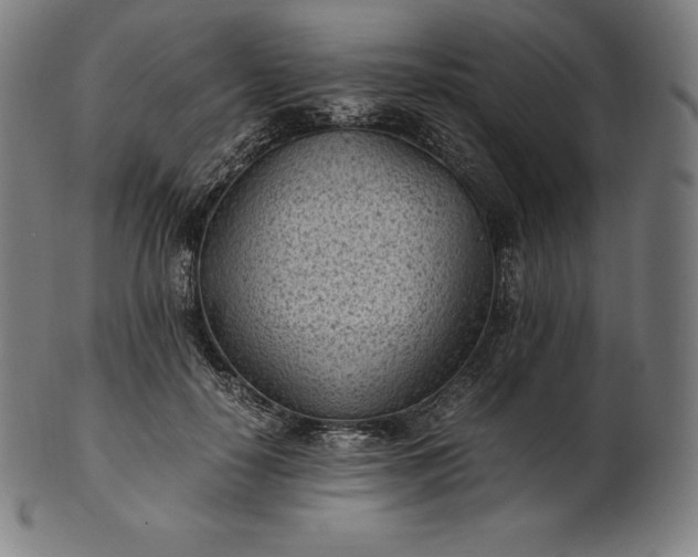 X0000101190650200807110946
