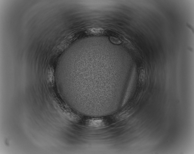 X0000101190651200807110946