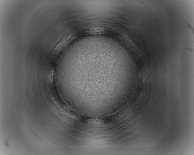 X0000101190652200807110946