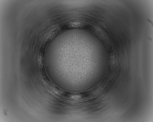 X0000101190653200807110946